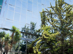 Hotel San Francisco Toluca