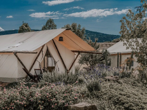 Salterra Glamping