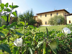 Agriturismo Poggio al Sole, Vinci
