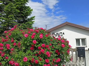 Apartamenty Rodzinne Flauta