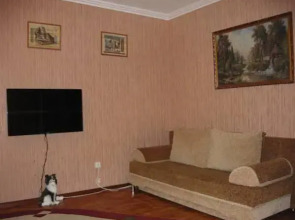 Апартаменты Визит На Казанском