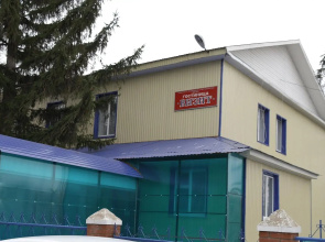 Vizit