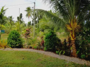 Momovillage