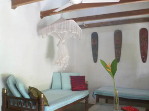 The Jungle House