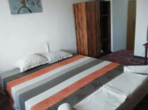 Guest House Viola