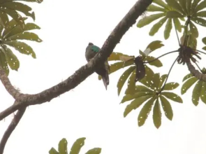 Ranchitos Del Quetzal - Parque Ecológico Gucumatz