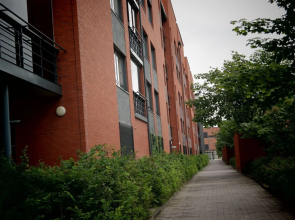 Local Nordic Apartments - Swan