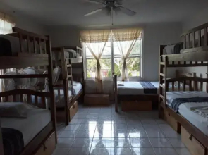Island Roots Hostel