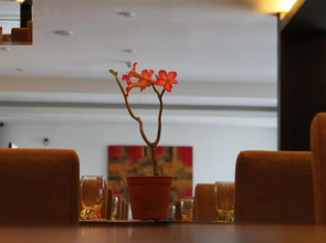 Top Star Hotel