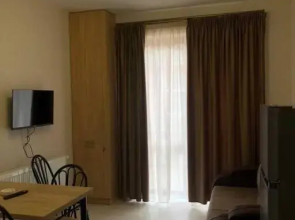 1-bedroom appartment in the centre of bakuriani 3