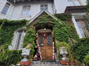 Hotel Chateau Lion