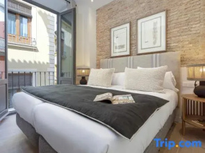 Spectacular apartment in Granada center. San Matías III
