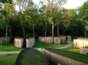 Suite in Tournai Forest Near Lille