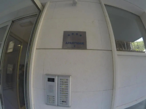 Anthurium Lux Apartment