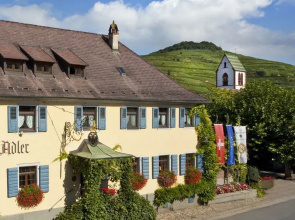 Schwarzer Adler