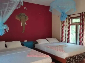 Bardia Jungle Cottage