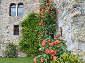 Palazzina del Chiasso B&B