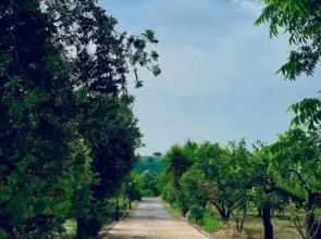 Giardino delle Zagare