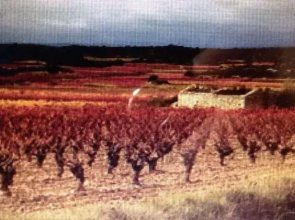 3 Grand Rue Ginestas