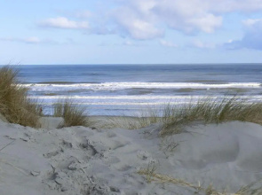 Effe Wad