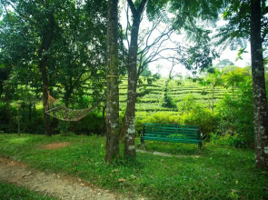 Alpine Vagamon Resort by VOYE HOMES