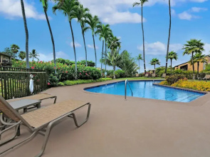 Tropical Oasis with Daily Activities - Spacious and Stylish Getaway