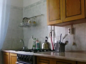 Stary Gorod Na Zoologicheskom