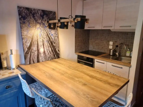 Appartement Le Biot, 2 pièces, 4 personnes - FR-1-573-68