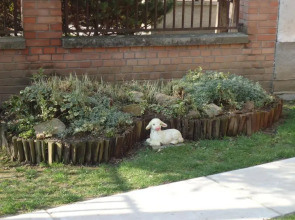 Szivárvány Apartman