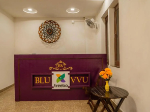 Treebo Blu Vvu