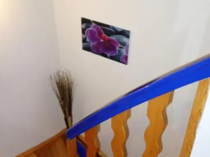 Katja´s Ferienwohnung