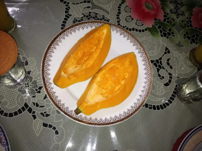 Ganesh House Homestay