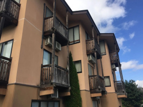 Hakuba Alpine Hotel