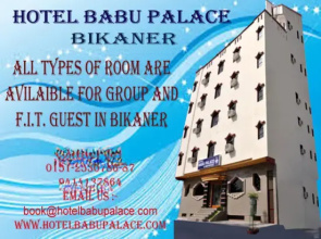 OYO 16162 Babu Palace