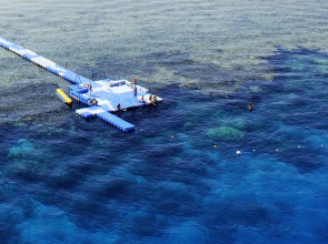 Baron Resort Sharm El Sheikh