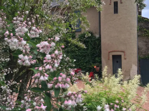 Château de St Alyre
