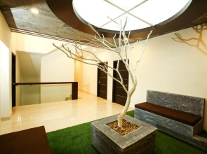 Mazus Inn