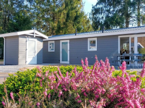 Amazing Home in Vorden With Wifi and 2 Bedrooms