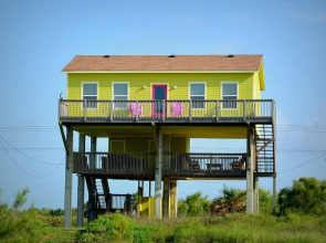 Happy Honu by RedAwning