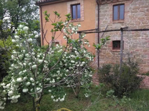 Terra di Magie