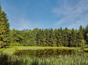 Tentrr - Davis Hollow Mountain Meadow