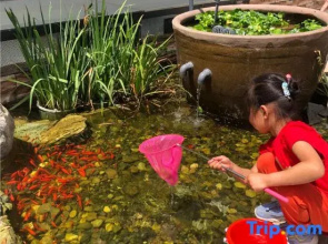 Beijing Siluoli Homestay