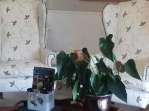 Mulligans Golf Lodge