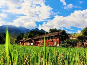 the South Flower of Fanjingshan City Has Opened A Guesthouse