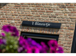 Majestic mansion in Vrouwenpolder with private garden