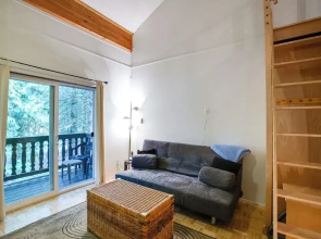 Mt Baker Lodging Condo 94 - A Great Condo Near Skiing and Hiking Now has Wifi