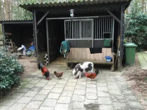 't Huis ten Boss