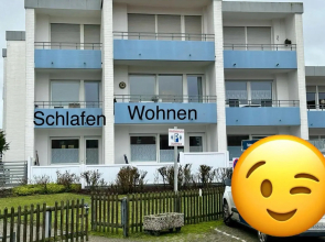 Dünenrose am Nordstrand