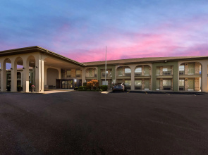 Best Western Executive Inn
