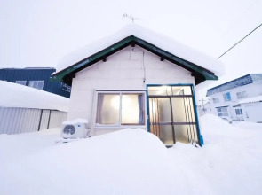 Nordic House